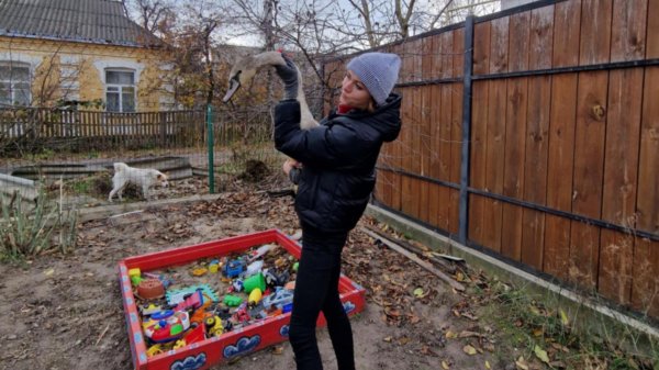 На Кіровоградщині врятували травмованого лебедя (ФОТО)