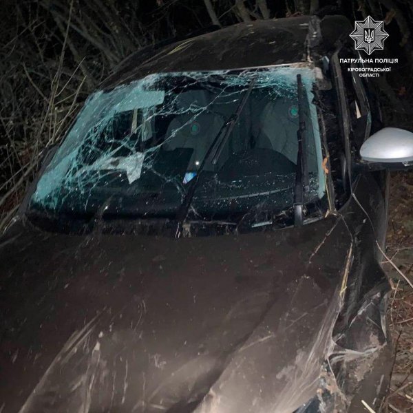 Поблизу Кропивницького сталася ДТП: автівка злетіла в кювет (ФОТО)