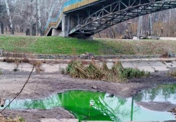 У міській раді пояснили, чому біля Козачого острова у Кропивницькому тече вода зеленого кольору