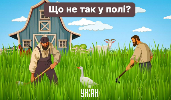 Простий тест на уважність: треба відшукати "ляп" за 6 секунд