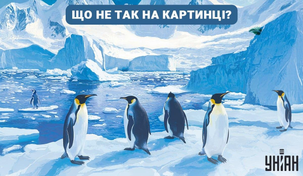 Що не так на картинці: потрібно дати відповідь за 5 секунд