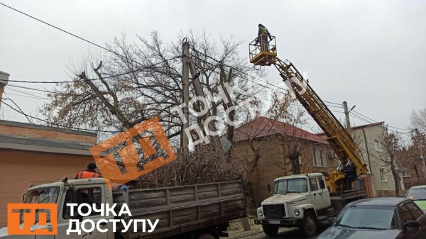 В центрі Кропивницького спилюють дерева: рух однією з вулиць перекрили (ФОТО)