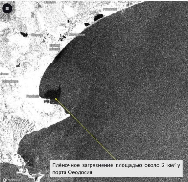 
Мазут із російських танкерів розпливається узбережжям Криму: фото
