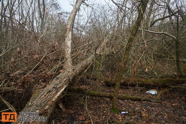 Злодійська балка у Кропивницькому – історичне місце з фотографіями краєвидів