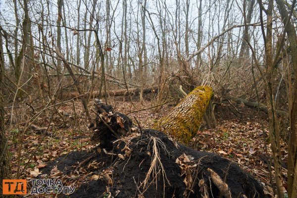 Злодійська балка у Кропивницькому – історичне місце з фотографіями краєвидів