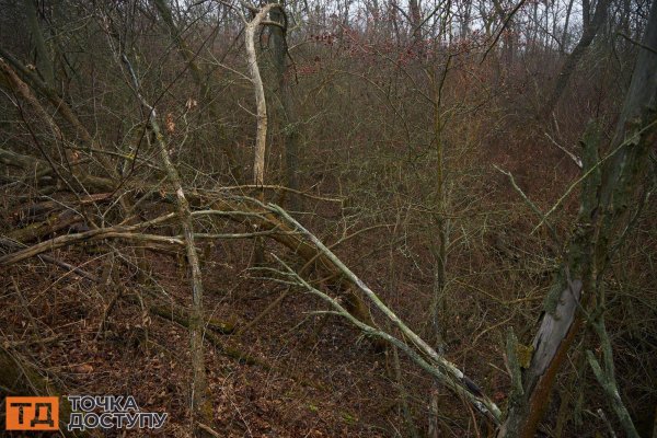 Злодійська балка у Кропивницькому – історичне місце з фотографіями краєвидів