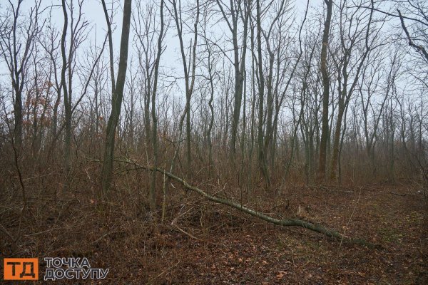 Злодійська балка у Кропивницькому – історичне місце з фотографіями краєвидів