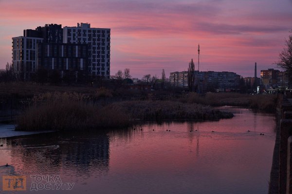 Весна на Козачому острові в Кропивницькому: лебеді та дикі качки на водах Інгулу (ФОТОРЕПОРТАЖ)