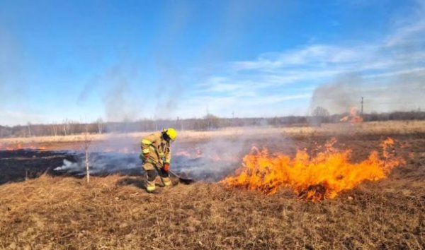 
Смертельне паління сухостою: на Івано-Франківщині загинула пенсіонерка
