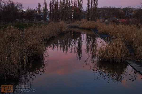 Весна на Козачому острові в Кропивницькому: лебеді та дикі качки на водах Інгулу (ФОТОРЕПОРТАЖ)