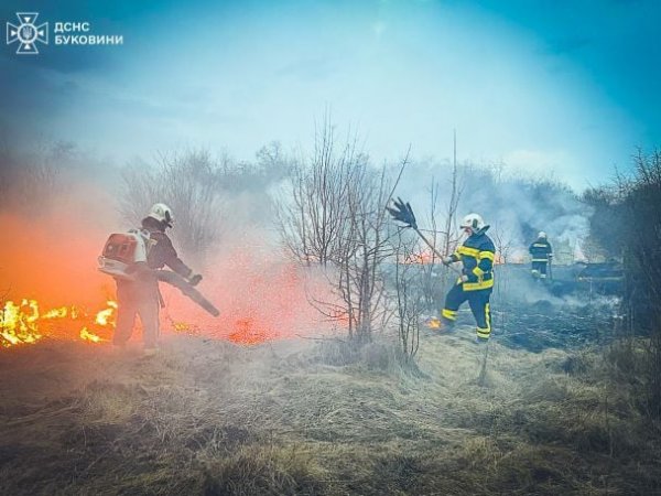 
На Буковині згорів чоловік під час спалювання сухої трави: фото
