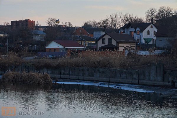 Весна на Козачому острові в Кропивницькому: лебеді та дикі качки на водах Інгулу (ФОТОРЕПОРТАЖ)