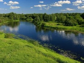 Що означає сон, у якому ви гуляєте біля річки? Детальний розбір тлумачень сну залежно від деталей, емоцій та дій уві сні.