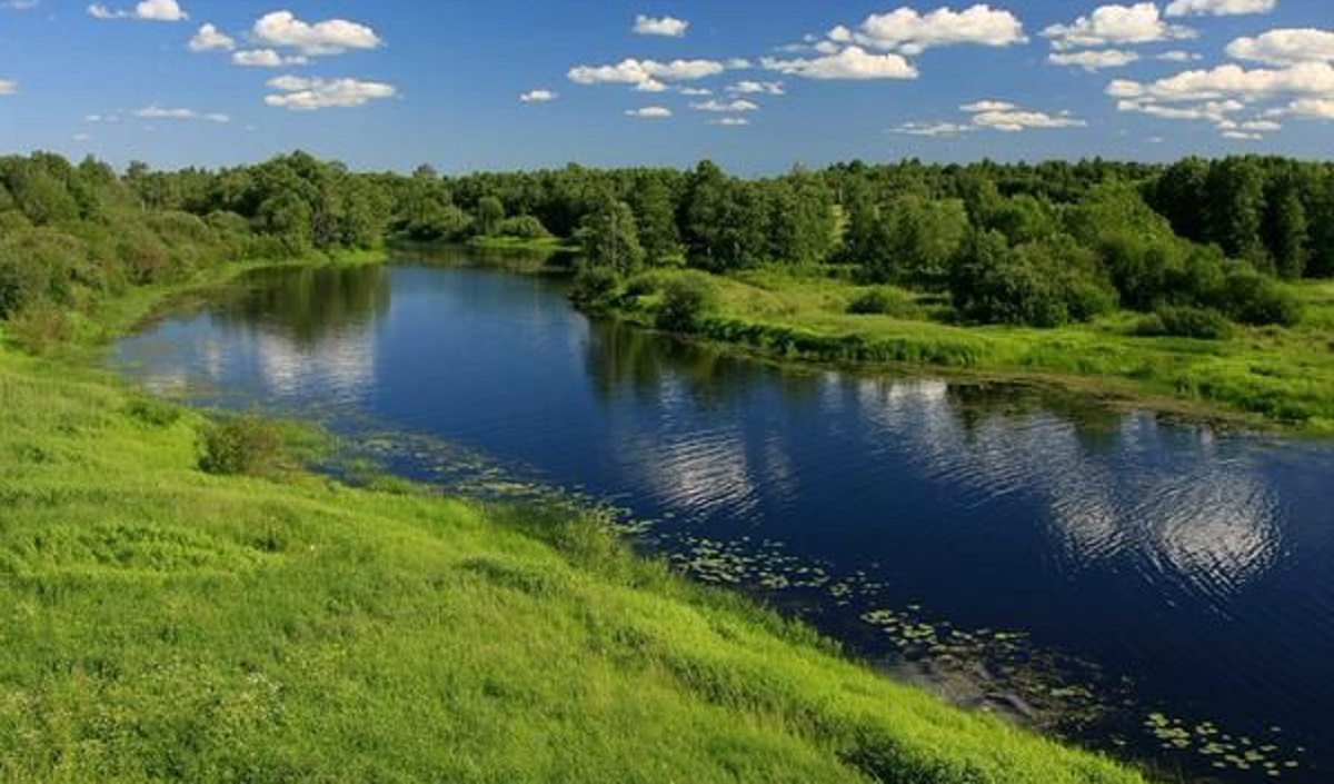 Що означає сон, у якому ви гуляєте біля річки? Детальний розбір тлумачень сну залежно від деталей, емоцій та дій уві сні.