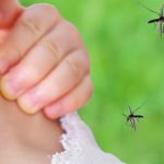 Дізнайтеся, що робити після укусів комарів, як обробляти шкіру, які народні засоби допомагають, та як захиститися від комарів улітку.