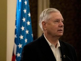Сенатор Ліндсі Грем запропонував виключити з-під санкцій країни, які підтримують Україну, і закликав Китай уникнути 500% мита через допомогу Києву.