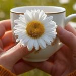 Ефективні народні рецепти при клімаксі: як трави, настої та дієта допомагають полегшити симптоми та покращити якість життя жінок у цей період.