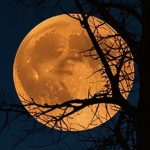 Дізнайтеся, які прикмети та ритуали на повний місяць 10 липня 2025 року варто виконати для залучення удачі, кохання, багатства та очищення енергії.