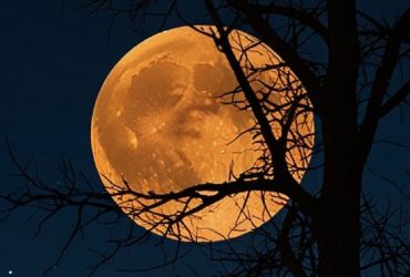 Дізнайтеся, які прикмети та ритуали на повний місяць 10 липня 2025 року варто виконати для залучення удачі, кохання, багатства та очищення енергії.