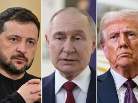 Зустріч Трампа та Путіна: чотири країни на розгляді для проведення переговорів, деталі ще уточнюються.