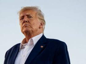 Після зустрічі з Путіним Трамп обговорив важливі питання з Зеленським та лідерами НАТО. Деталі переговорів та майбутня тристороння зустріч.