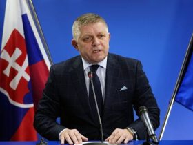 МЗС України різко відреагувало на заяву прем'єр-міністра Словаччини Роберта Фіцо, який порівняв Україну з травою в контексті майбутнього саміту між Трампом і Путіним.