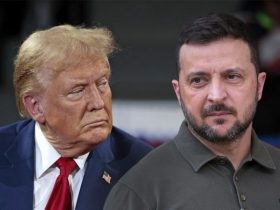 Адміністрація Трампа зробила неочікувану заяву щодо України, підкресливши важливість припинення вогню та мирного врегулювання конфлікту з Росією.