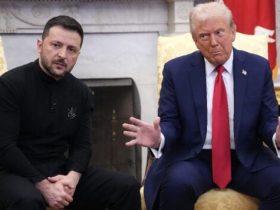 Зустріч Дональда Трампа та Володимира Зеленського у Вашингтоні: розклад переговорів, участь європейських лідерів та обговорення важливих питань миру