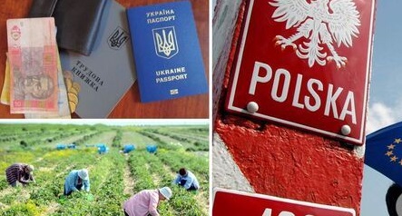Як працювати в Польщі без ризиків: поради для українців