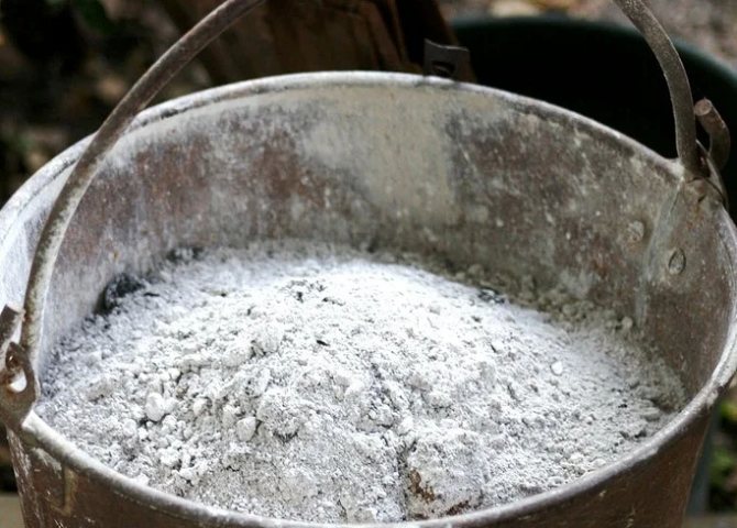 Як правильно вносити попіл під плодові дерева взимку: користь, шкода і типові помилки
