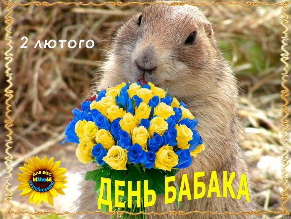 День бабака 2026 в Україні: дата, історія та традиції