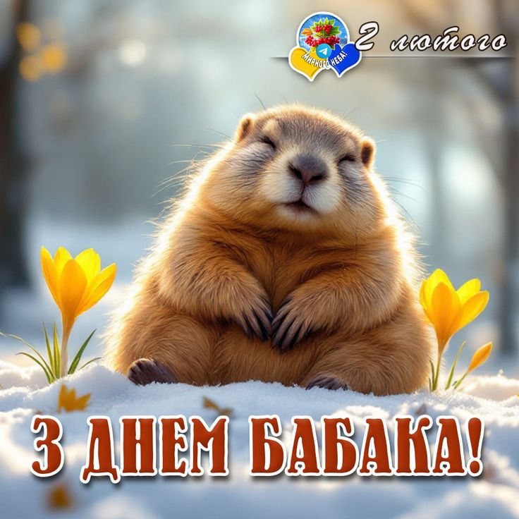 День бабака 2026 в Україні: дата, історія та традиції