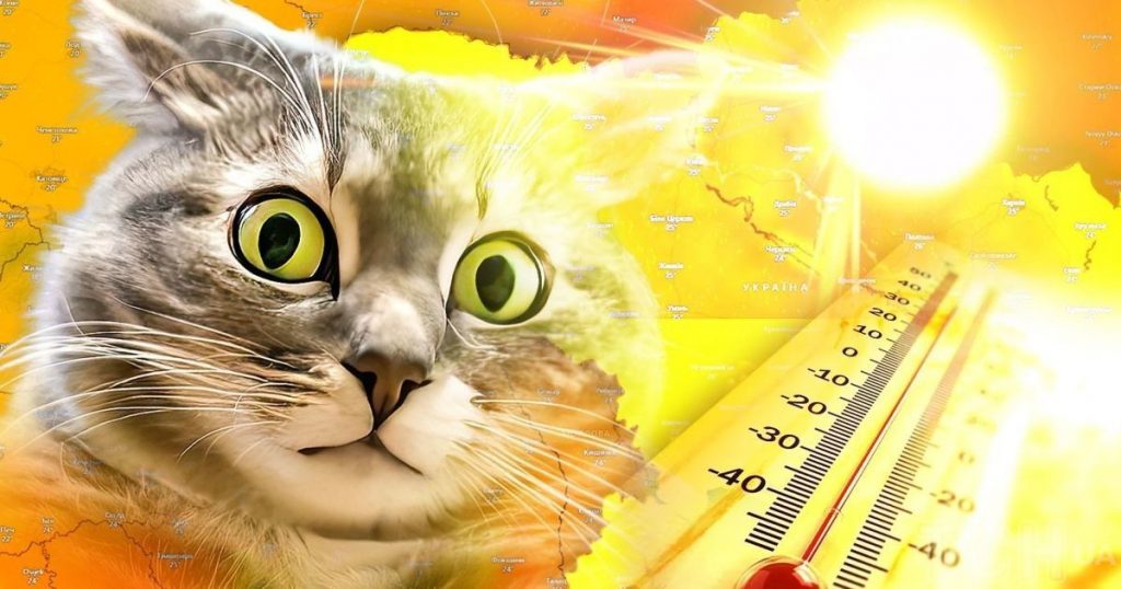 Україну накриє спека до +38°C: коли прийдуть грози та знизиться температура Україну накриє спека до +38°C і «тропічні» ночі. Дощі та грози прийдуть наприкінці тижня, а температура поступово знизиться до +25…+31°C.
